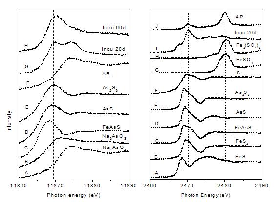 厌氧微生物作用下近海沉积物中砷的转化研究