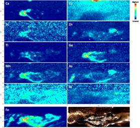 说明: http://www.gxxsggd.com/xwdt/gnxw/2016/201612/W020161213305524781353.jpg
