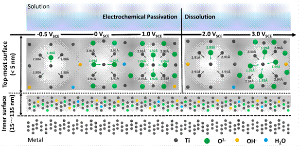 金属钛钝化膜结构及耐蚀性质研究