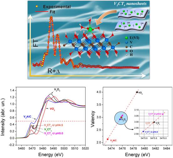 二维碳化钒对铀的高效富集及其相互作用机理研究