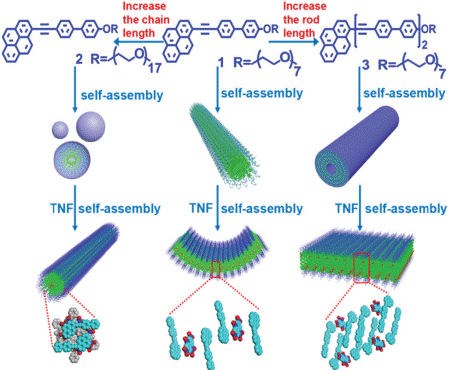 供体-受体相互作用驱动的超分子聚集体