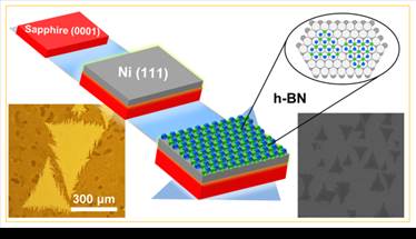 毫米尺寸的六方氮化硼单晶畴