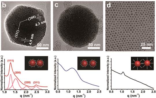 有序紧密组装量子点超粒子增强光电效应