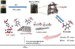 Fe3O4@RGO对洛克沙胂的协同增强吸附