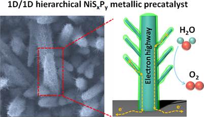 1维/1维硫化镍/磷化镍纳米结构在电催化析氧反应中的应用