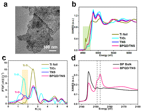 用于高效电化学锂/钠离子存储的黑磷量子点/碳化钛MXene纳米片复合材料