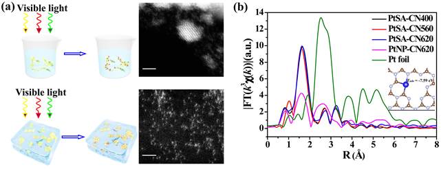 强化反应性金属-载体相互作用稳定缺电子g-C3N4上的高密度Pt单原子提升光催化制氢性能