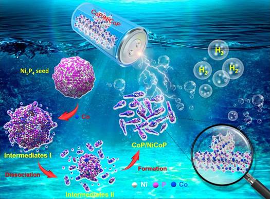 CoP/NiCoP异质结构在全pH电解（海）水制氢及储能应用：电子结构和配位效应