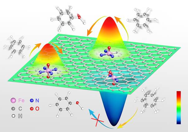 单原子 Fe催化剂高效催化碳氢键活化——配位选择性调控