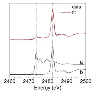 生物炭和硒肥添加降低稻米中甲基汞积累
